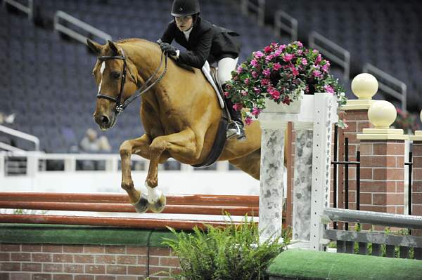 WIHS-10-23-09-WIHSJrEqHtr-DSC_8367-Ivy-ZazouHoffman-DDeRosaPhoto.jpg