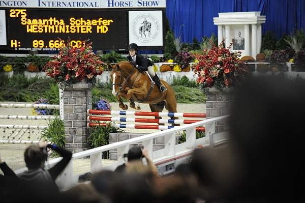 WIHS-10-24-09-Cl182-WIHSJrEqJpr-DSC_0354-Travino-SamanthaSchaefer-DDeRosaPhoto.jpg