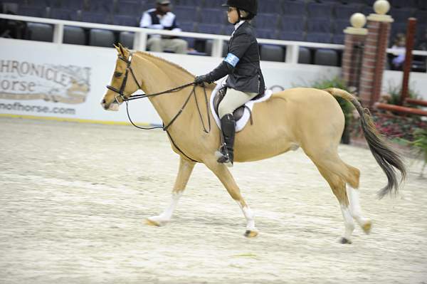 WIHS-10-24-09-Cl185WIHSPnyEqFinals-DER_8256-BenleaAristocrat-ChloeReid-DDeRosaPhoto.jpg