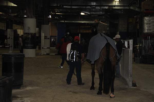 WIHS-10-22-09-051-Setup-DDeRosaPhoto.jpg