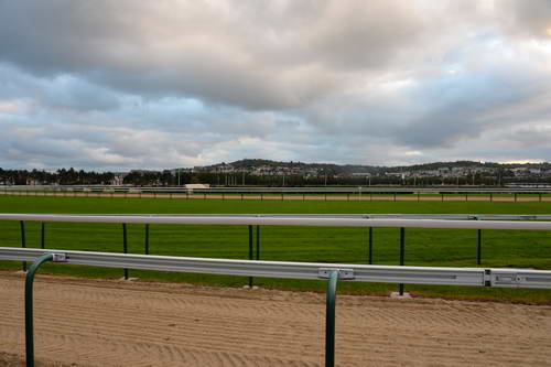 Alltech-WEG-10-10-13-5389-DDeRosaPhoto