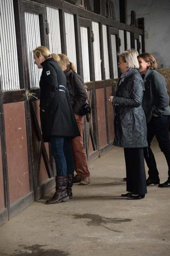 Alltech-WEG-10-11-13-6011-DDeRosaPhoto