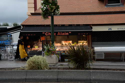 Alltech-WEG-10-9-13-5203-DDeRosaPhoto
