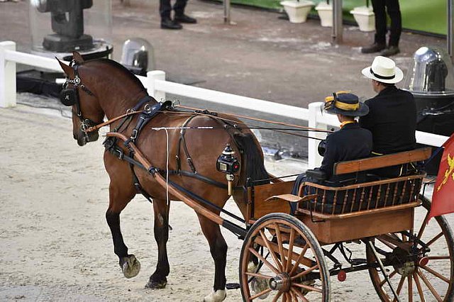 WEG-8-23-14-OpenCeremony-0002324-DDeRosaPhoto