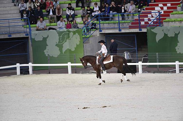 WEG-8-23-14-OpenCeremony-0002342-DDeRosaPhoto