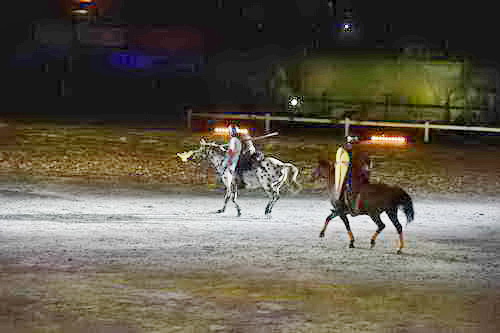 WEG-8-23-14-OpenCeremony-0003141-DDeRosaPhoto