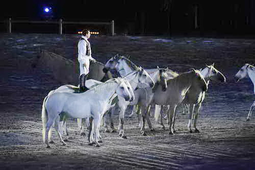 WEG-8-23-14-OpenCeremony-0003235-DDeRosaPhoto