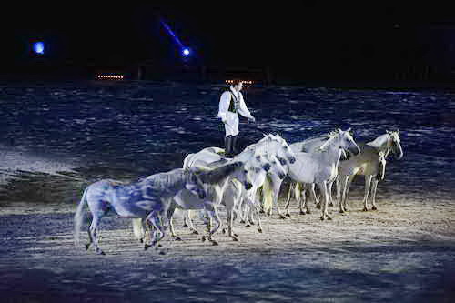 WEG-8-23-14-OpenCeremony-0003237-DDeRosaPhoto