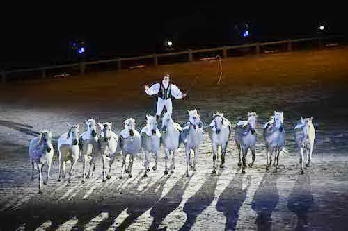 WEG-8-23-14-OpenCeremony-0003251-DDeRosaPhoto