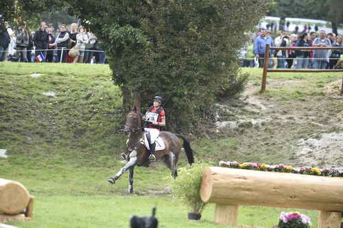 WEG1-Eventing-8-30-14-0009597-KarinDonckers-FletchaVan'tVerahof-BEL-DDeRosaPhoto