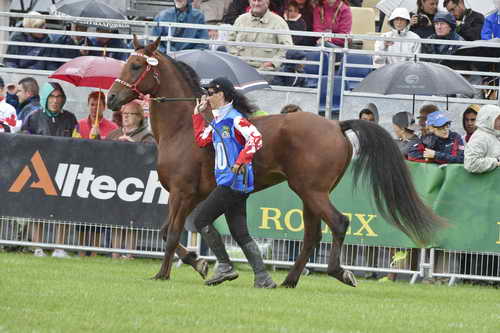 WEG1-EnduranceJog-8-27-14-0000547-DDeRosaPhoto