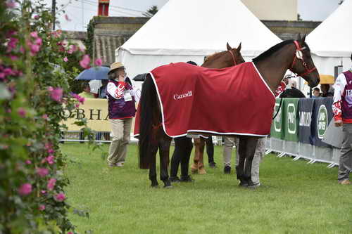 WEG1-EnduranceJog-8-27-14-0000584-DDeRosaPhoto