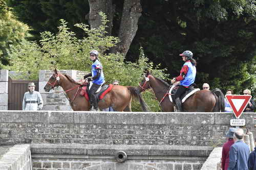 WEG-EnduranceRace-8-28-14-0002905-DDeRosaPhoto