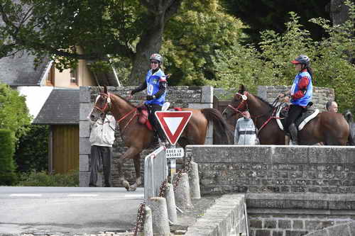WEG-EnduranceRace-8-28-14-0002909-DDeRosaPhoto