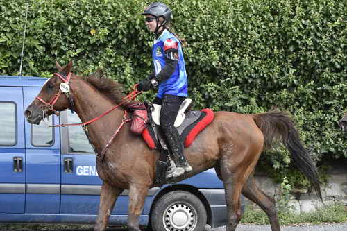 WEG-EnduranceRace-8-28-14-0002957-DDeRosaPhoto