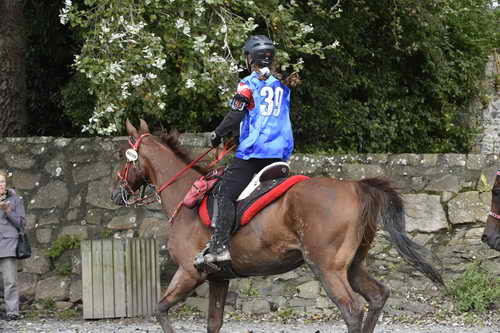 WEG-EnduranceRace-8-28-14-0002962-DDeRosaPhoto
