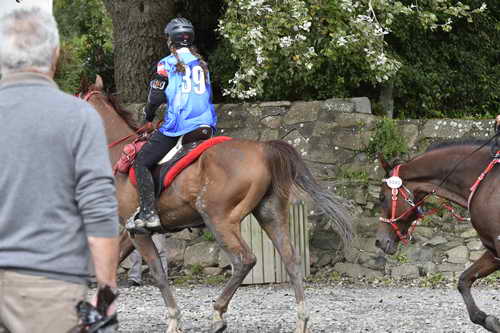 WEG-EnduranceRace-8-28-14-0002965-DDeRosaPhoto