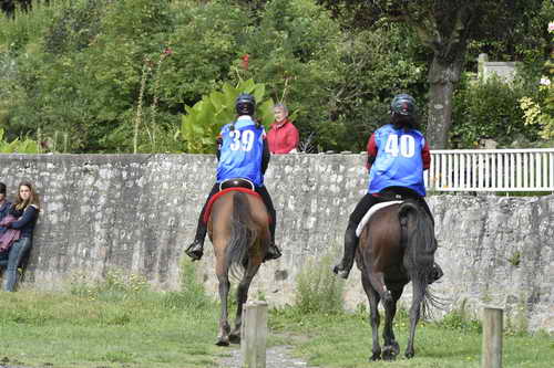 WEG-EnduranceRace-8-28-14-0002968-DDeRosaPhoto