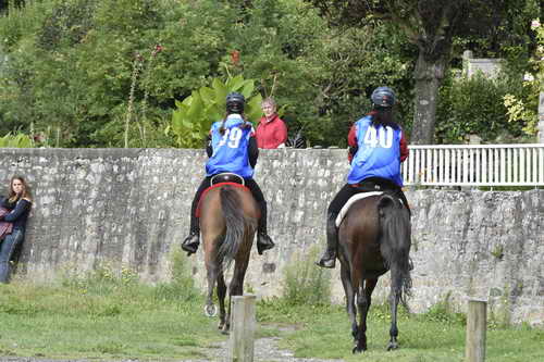 WEG-EnduranceRace-8-28-14-0002969-DDeRosaPhoto