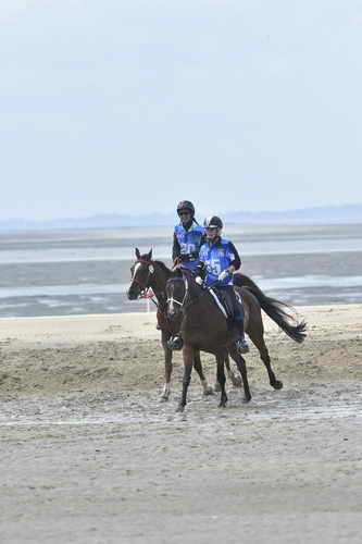 WEG-EnduranceRace-8-28-14-0004240-DDeRosaPhoto