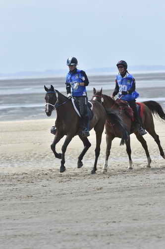 WEG-EnduranceRace-8-28-14-0004249-DDeRosaPhoto