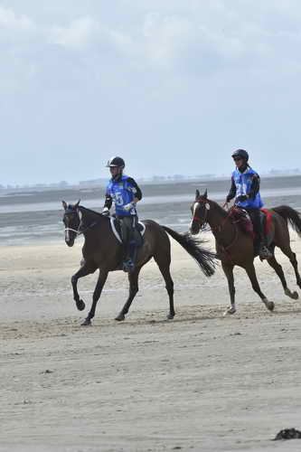 WEG-EnduranceRace-8-28-14-0004256-DDeRosaPhoto