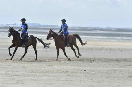 WEG-EnduranceRace-8-28-14-0004258-DDeRosaPhoto