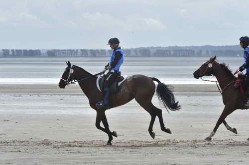 WEG-EnduranceRace-8-28-14-0004268-DDeRosaPhoto