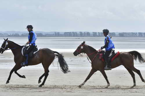 WEG-EnduranceRace-8-28-14-0004271-DDeRosaPhoto