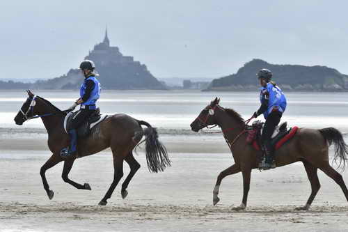 WEG-EnduranceRace-8-28-14-0004279-DDeRosaPhoto