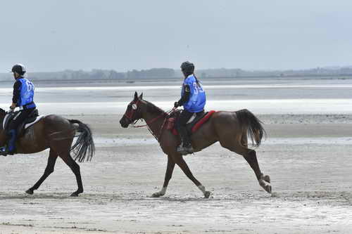 WEG-EnduranceRace-8-28-14-0004288-DDeRosaPhoto