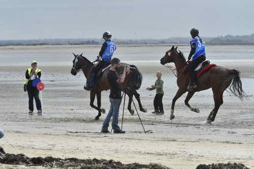 WEG-EnduranceRace-8-28-14-0004294-DDeRosaPhoto