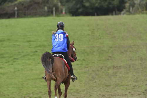 WEG-EnduranceRace-8-28-14-0005013-DDeRosaPhoto
