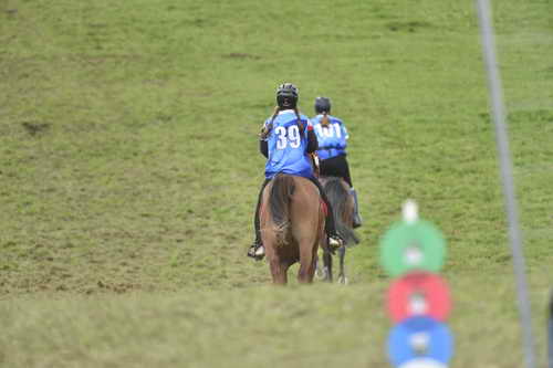WEG-EnduranceRace-8-28-14-0005019-DDeRosaPhoto