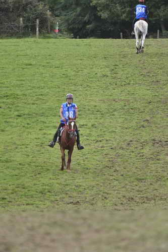 WEG-EnduranceRace-8-28-14-0005048-DDeRosaPhoto