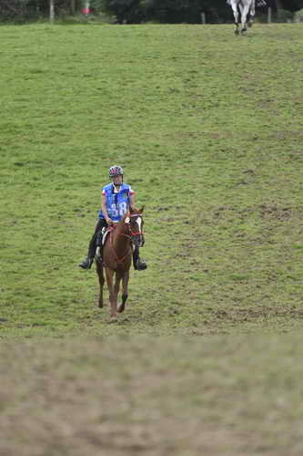 WEG-EnduranceRace-8-28-14-0005056-DDeRosaPhoto