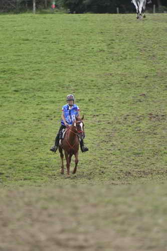 WEG-EnduranceRace-8-28-14-0005057-DDeRosaPhoto