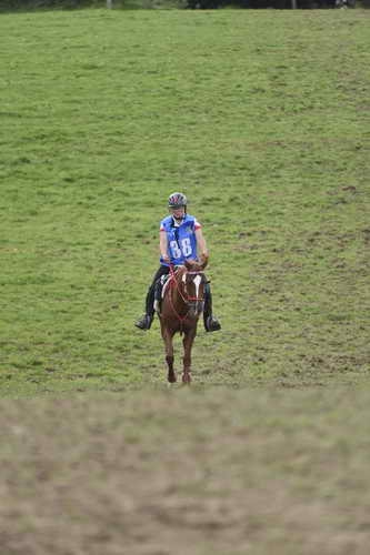 WEG-EnduranceRace-8-28-14-0005059-DDeRosaPhoto