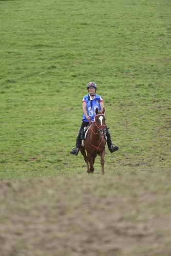 WEG-EnduranceRace-8-28-14-0005063-DDeRosaPhoto