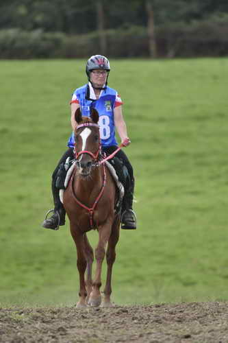 WEG-EnduranceRace-8-28-14-0005075-DDeRosaPhoto