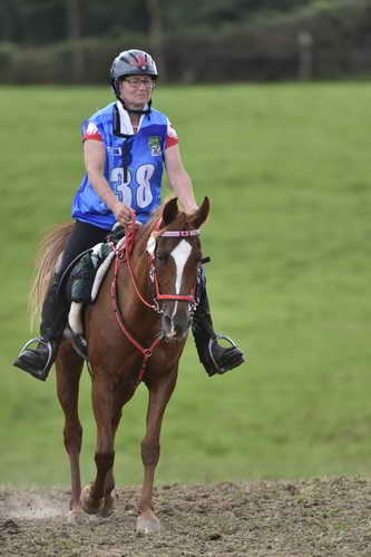 WEG-EnduranceRace-8-28-14-0005081-DDeRosaPhoto