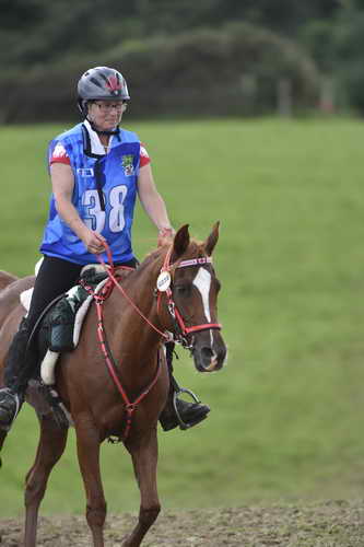 WEG-EnduranceRace-8-28-14-0005084-DDeRosaPhoto
