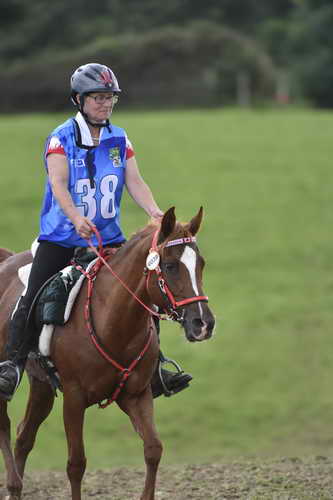 WEG-EnduranceRace-8-28-14-0005085-DDeRosaPhoto