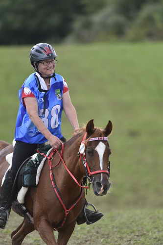 WEG-EnduranceRace-8-28-14-0005093-DDeRosaPhoto