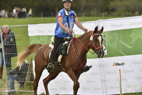WEG-EnduranceRace-8-28-14-0005098-DDeRosaPhoto