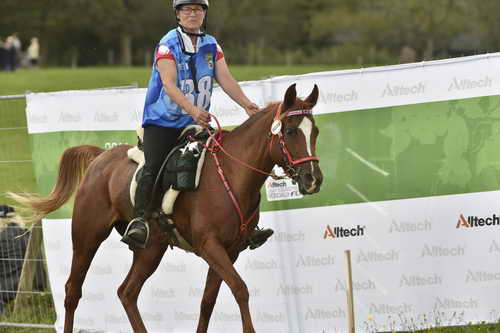 WEG-EnduranceRace-8-28-14-0005099-DDeRosaPhoto
