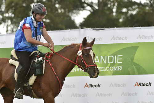 WEG-EnduranceRace-8-28-14-0005105-DDeRosaPhoto