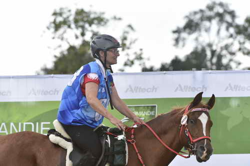 WEG-EnduranceRace-8-28-14-0005108-DDeRosaPhoto