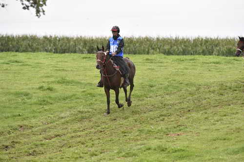 WEG-EnduranceRace-8-28-14-0001257-DDeRosaPhoto