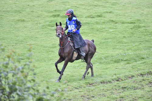 WEG-EnduranceRace-8-28-14-0001262-DDeRosaPhoto